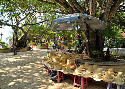 Hotel Casa San Pancho