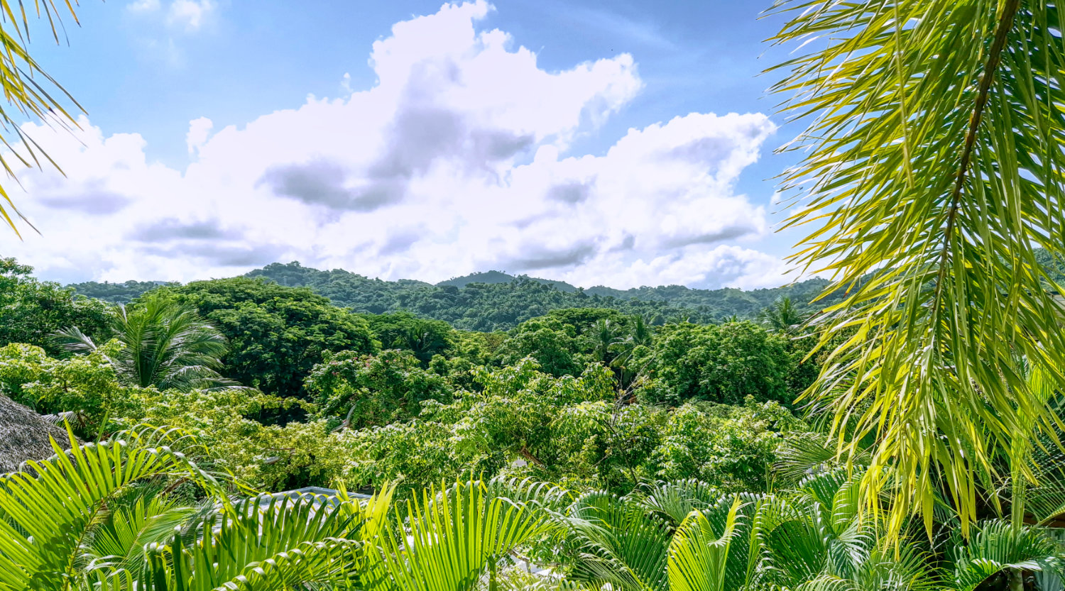 Master Suite terrace view